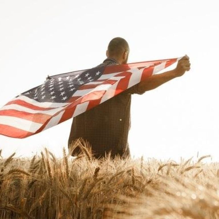 African american young man holding USA national flag through wheat field